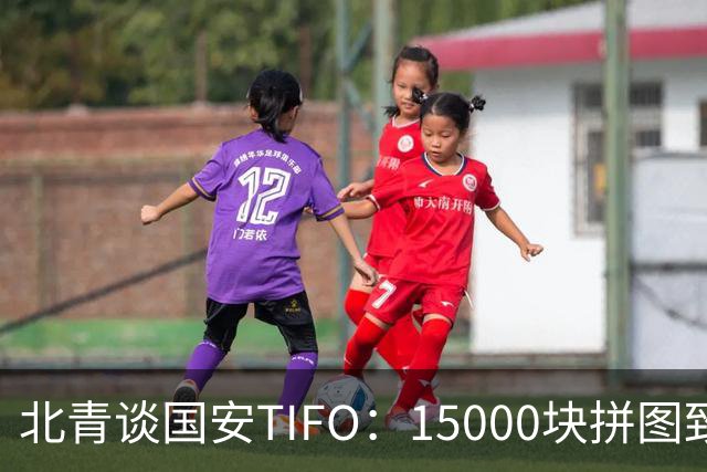 北青谈国安TIFO：15000块拼图致敬工体，激励国安亚冠争创佳绩