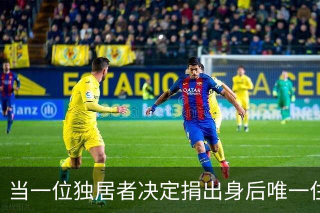 当一位独居者决定捐出身后唯一住房
