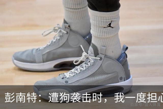 彭南特：遭狗袭击时，我一度担心会截肢