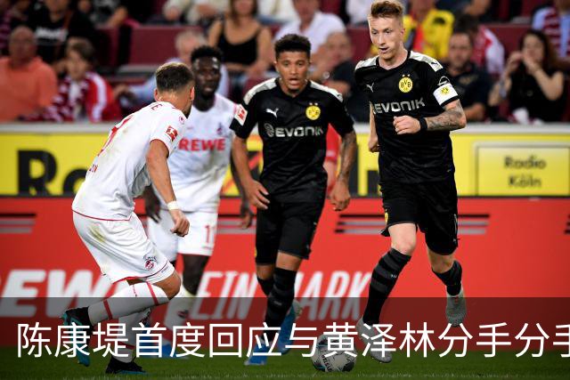 陈康堤首度回应与黄泽林分手分手，现场情绪十分低落，称爸妈都很理解